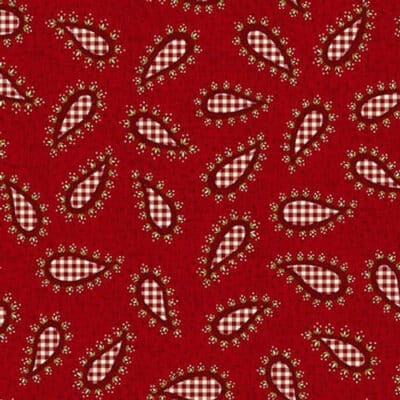 Kim Diehl Garnets & Gingham, 1351-88, Small Gingham Paisley